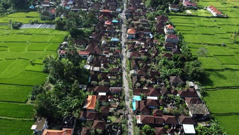 Balinese-Charm-from-Above:-4K-Drone-View-of-Ubud,-Bali