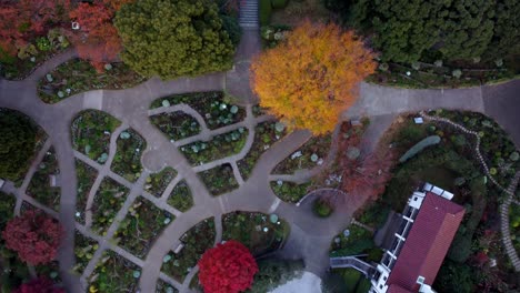 Un-Vibrante-Laberinto-De-Jardín-Con-Varias-Plantas-Y-Un-Edificio,-Que-Captura-La-Esencia-Del-Otoño,-Vista-Aérea