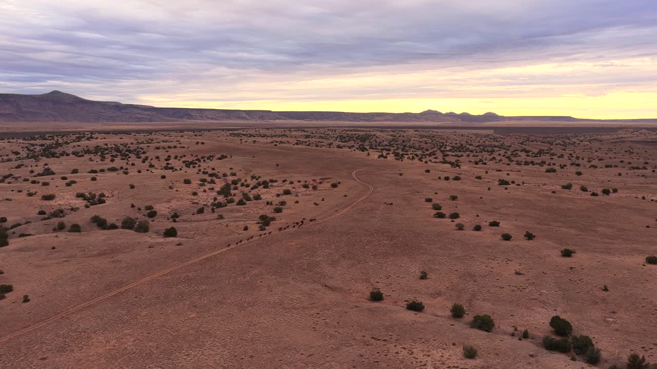 Aerial drone view of wild mustangs running along a desert dirt road. The herd travels with speed and unity across the vast red earth landscape