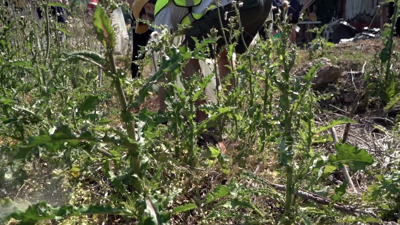 활동가 이탈리아 밀라노 교외에서 쓰레기를 손으로 따기