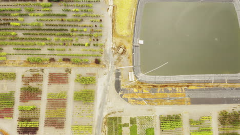 smooth aerial perspective looking down on rows of trees at tree farm including watering storage system