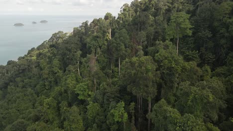 密集熱帶森林的空中拍攝, 海洋和島<unk>, koh chang