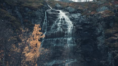 una cascada en el bosque de otoño
