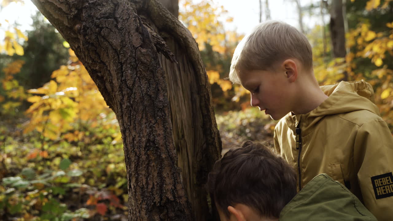 niños jugando en la naturaleza
