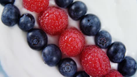 close-up of fruit icream