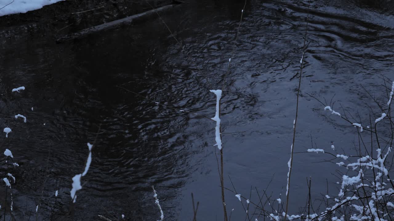 Flowing River Stream In Frozen Forest. Static Shot