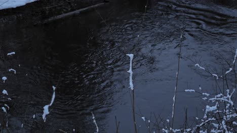 flowing river stream in frozen forest. static shot