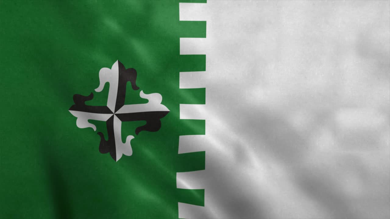 bandera de guaynabo, ciudad de puerto rico, fondo de animación realista