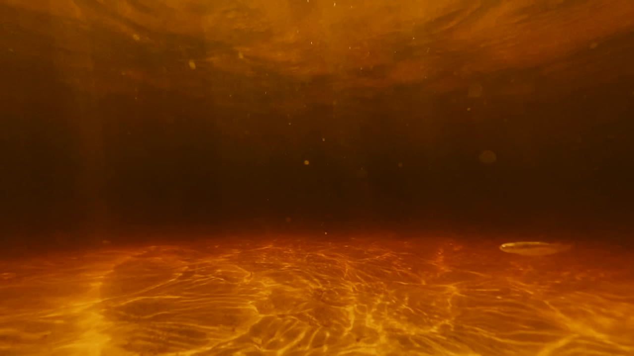 水中の黄金の川を泳ぐ小魚、ワイドスローモーション240FPS。