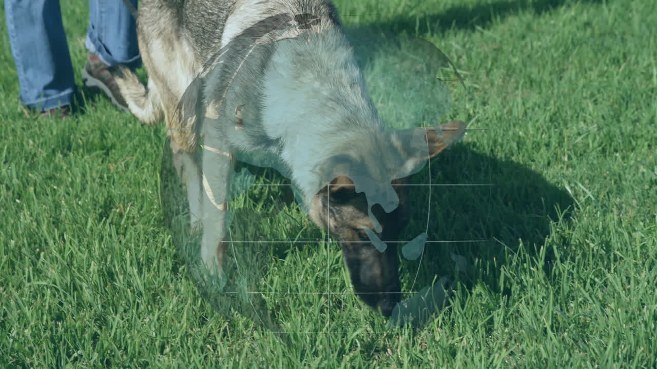 woman holding leash, dog sniffing grass on lawn, with floating paw icon, pet care marketing chart