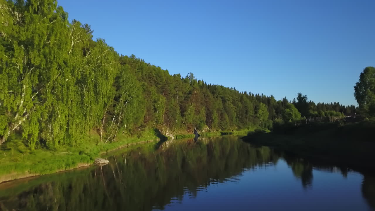 울창한 숲 속 의 평온 한 강