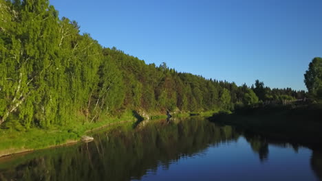 serene river in a lush forest