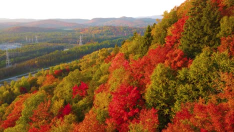 Paisaje-Forestal-De-árboles-Otoñales-Rojos,-Verdes-Y-Amarillos-En-Vista-Aérea-De-Drones-De-Canadá