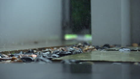 slow motion shot of rain hitting an outdoor garden patio, pavement and pebbles with the raindrops splashing at 200fps