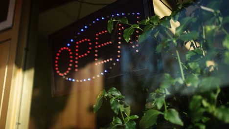 Open-Sign-flashing-behind-glass-window-with-plants-in-front