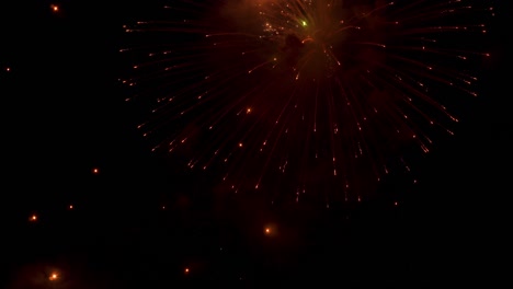 firework exploding in the night sky. celebrate in any event. new year. national day. diwali. real shot.