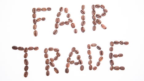 comercio justo en granos de café