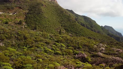 espectacular colina de montaña cubierta de verdes arbustos tropicales