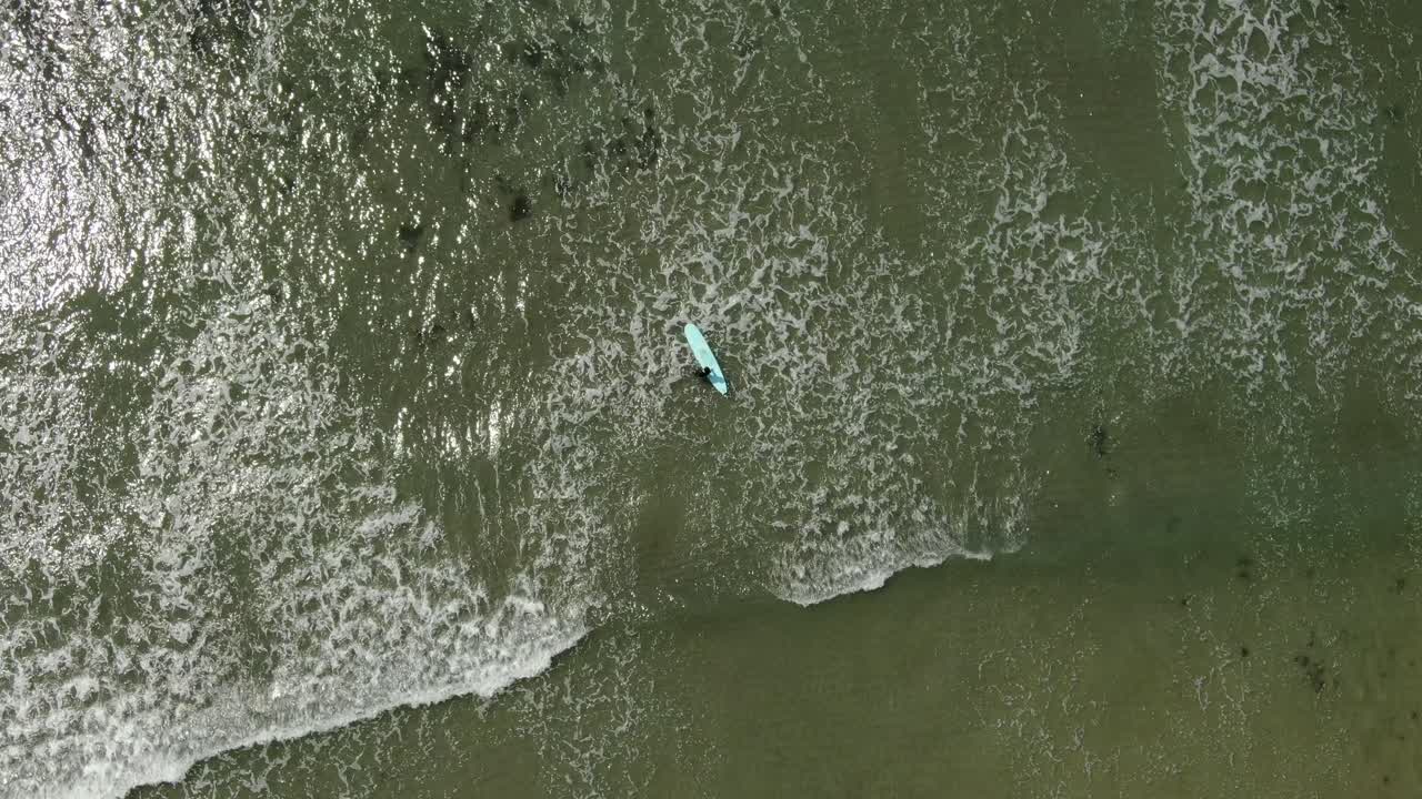 surfistas en el mar, kamakura, japón