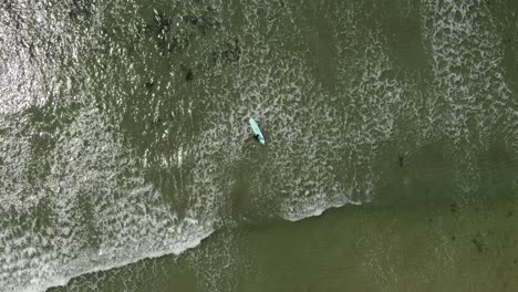 surfers on the sea, kamakura, japan