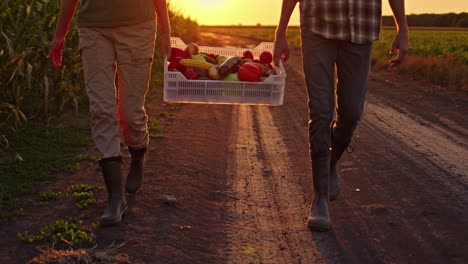 farmers carrying a crate of produce at sunset