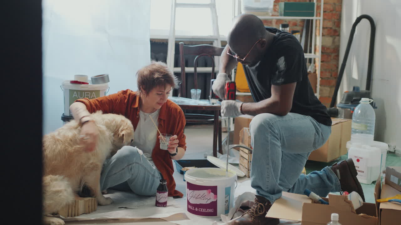 Joyous Woman Petting Dog as Husband Stirring Paint during Home Renovation