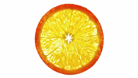 orange cut circle, citrus fruit on lumen, rotating on white background, top view.