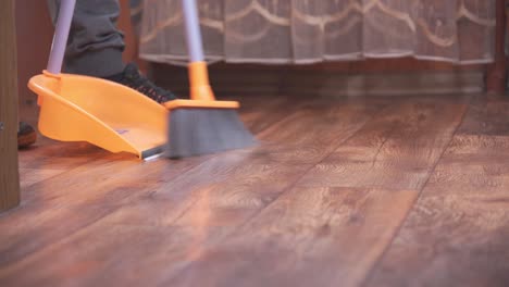 sweep debris into a dustpan with a long-handled brush. room cleaning.