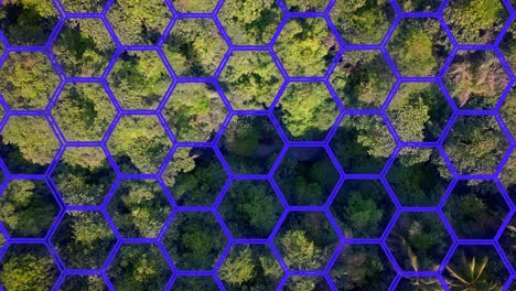 top view of green forest with honeycomb pattern after effects, symbolizing divine harmony in nature