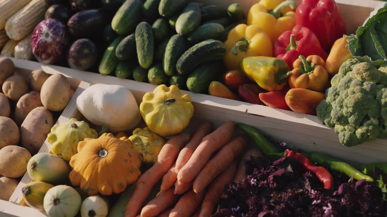 mostrador con verduras de temporada en el mercado de agricultores 3