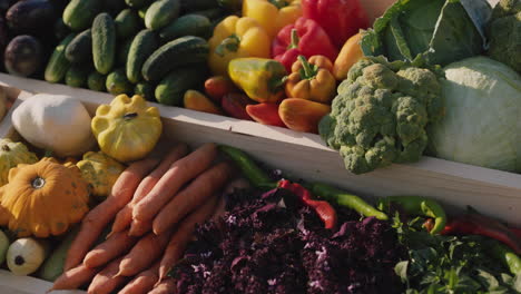 counter with seasonal vegetables at the farmers' market 3