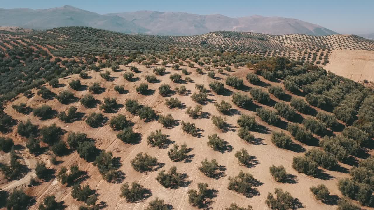 tomas de video aéreo de una playa en nueva andalucía españa en 4k