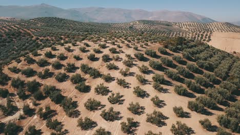 Tomas-De-Video-Aéreo-De-Una-Playa-En-Nueva-Andalucía-España-En-4k