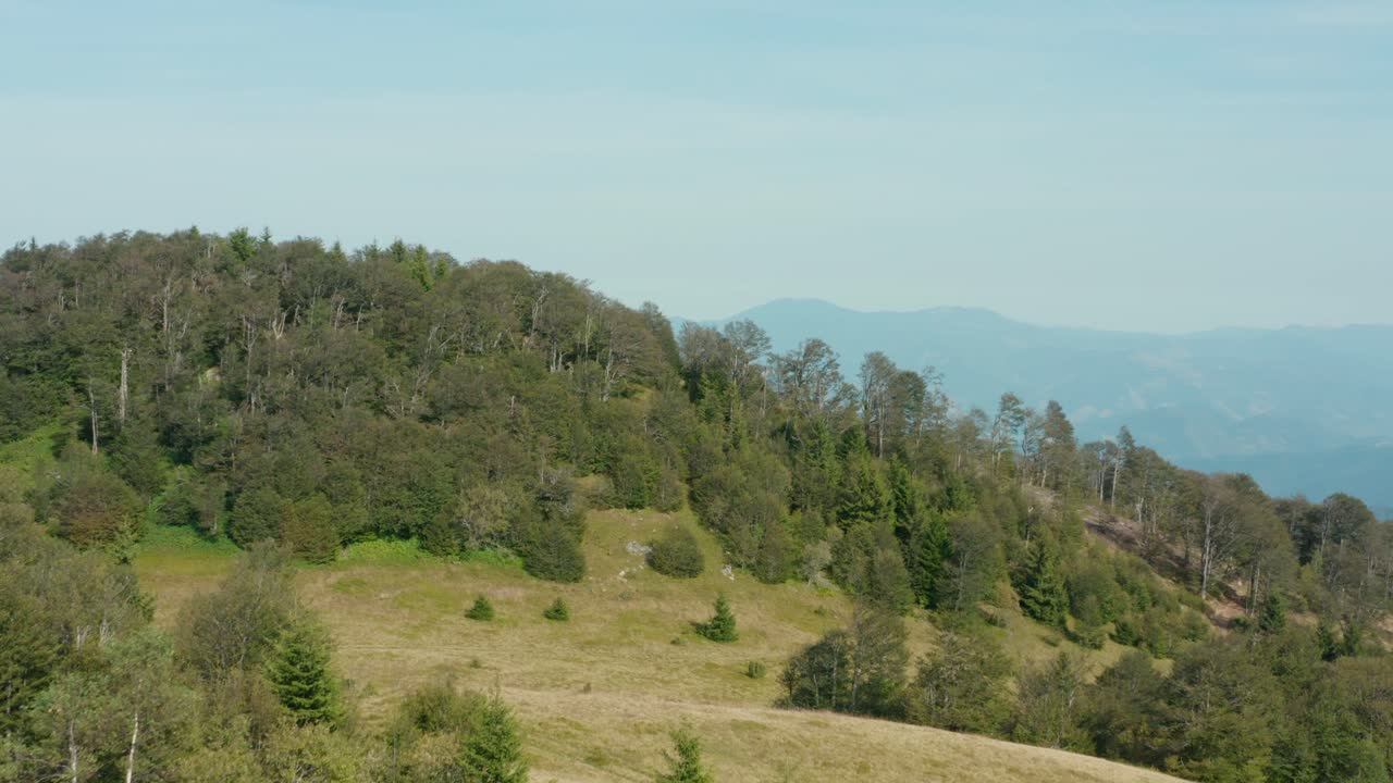 Pemandangan hijau subur dan vegetasi alami di Gunung Radocelo di Serbia - rekaman drone udara