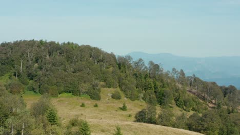 lush green landscape and nature vegetation on radocelo mountain in serbia - aerial drone shot