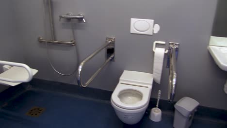 toilet and shower for disabled people