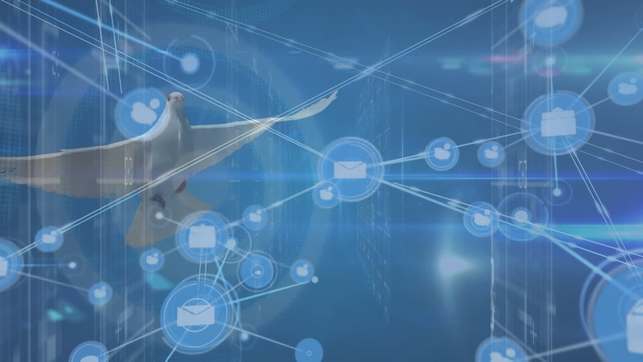 비둘기 위의 아이콘으로 연결된 네트워크의 애니메이션