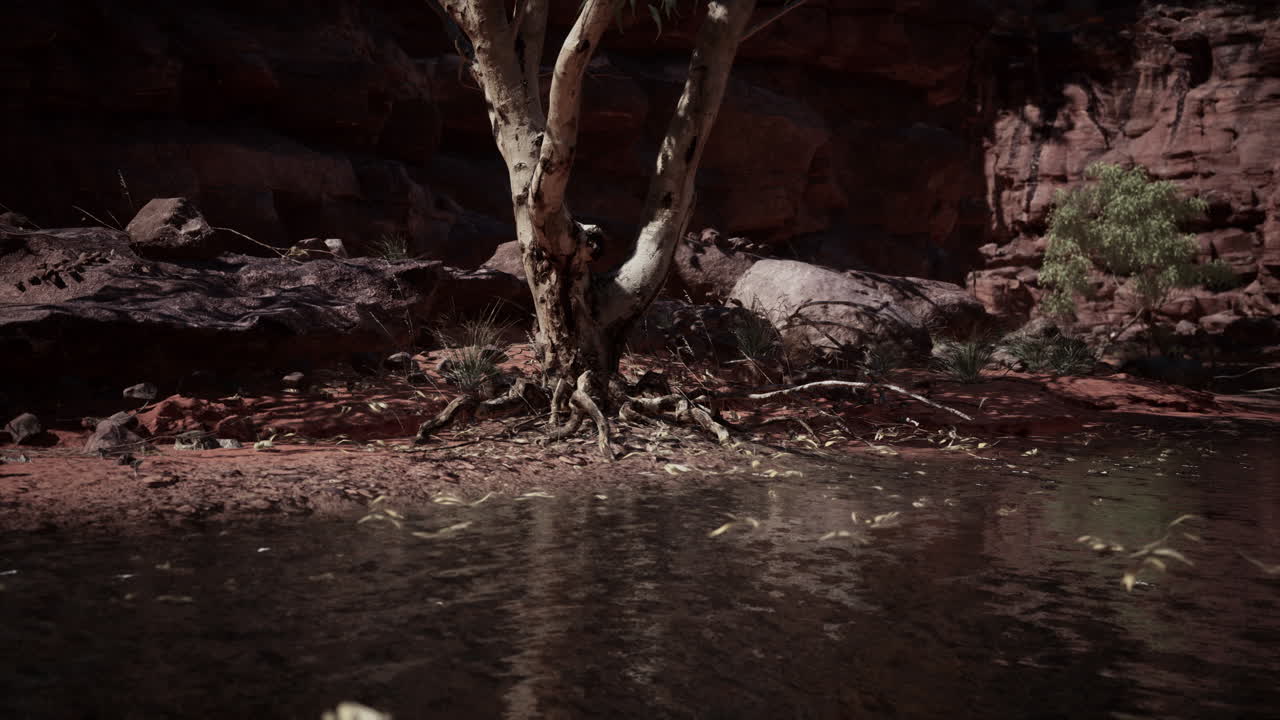 reflejo en el río colorado de butte atrapando los últimos rayos de los días, en el gran cañón.