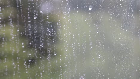 An-Einem-Regnerischen-Tag-Fallen-Wassertropfen-Auf-Die-Fensterscheibe