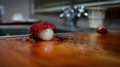 pequeño lagarto geco lame la carne de la fruta de rambutan pelada en la encimera de la cocina