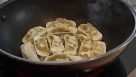 chinese dumpling traditional homemade healthy asiatic food cooked in a pan at home