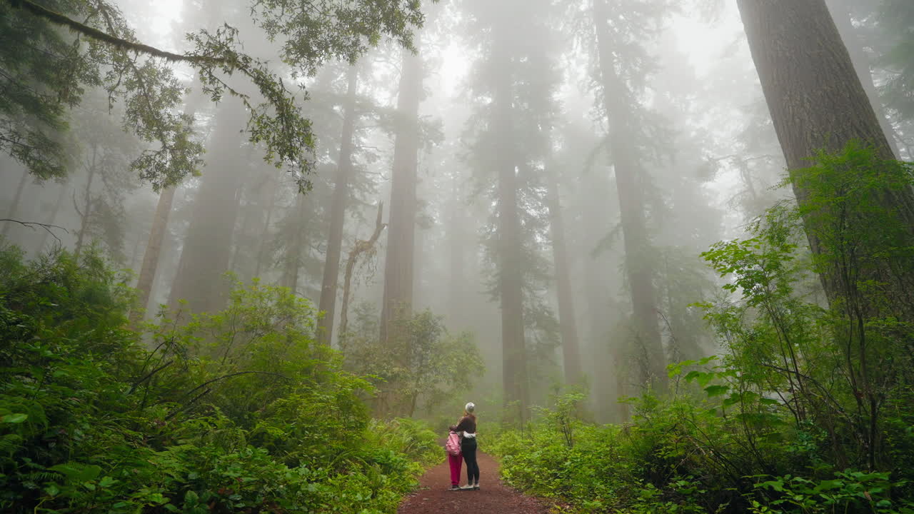 Together in nature mother and daughter embrace under majestic redwood trees