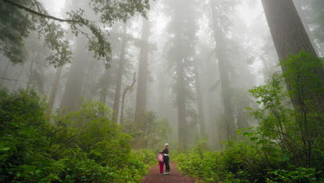 together in nature mother and daughter embrace under majestic redwood trees