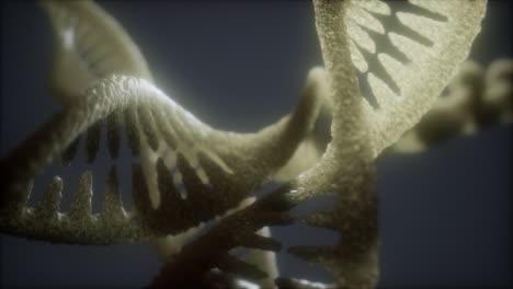 loop double helical structure of dna strand close-up animation