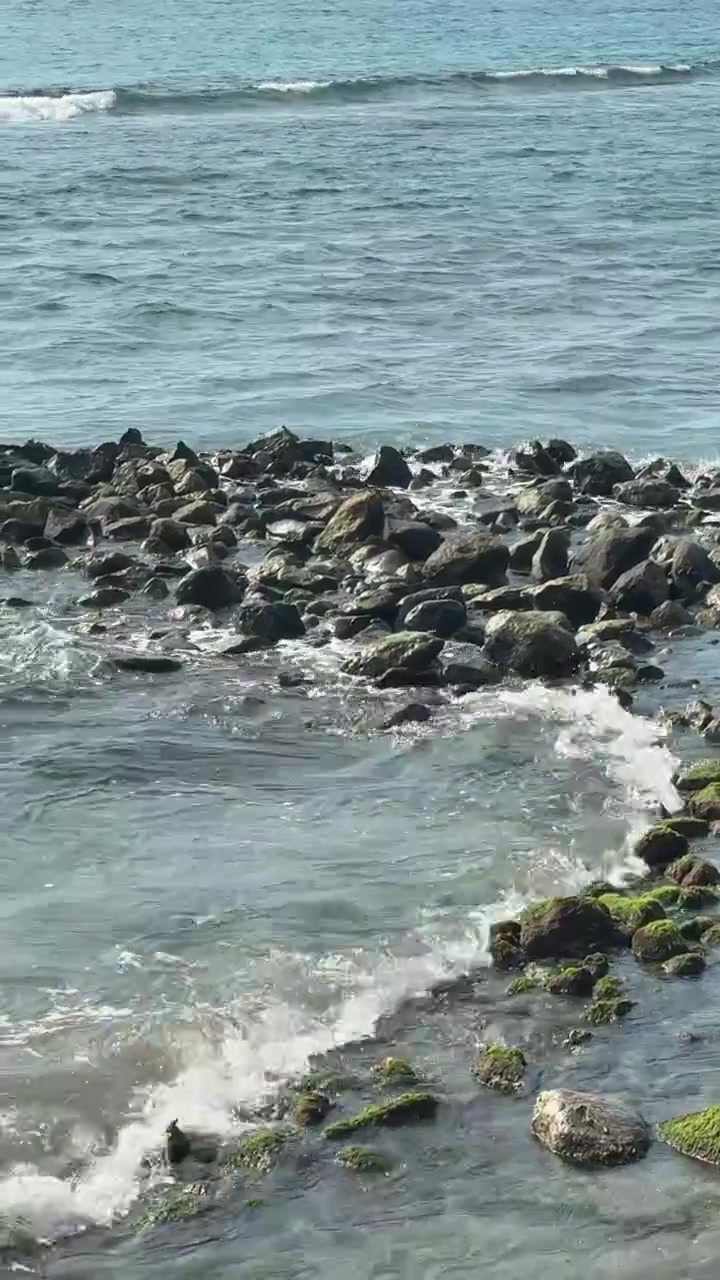 岸辺の苔むした岩に打ち寄せる穏やかな海の波