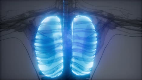 examen radiológico de los pulmones humanos