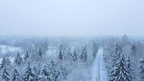 Aerial-view-over-snowy-winter-landscape-with-snow-covered-trees-and-road-into-distance