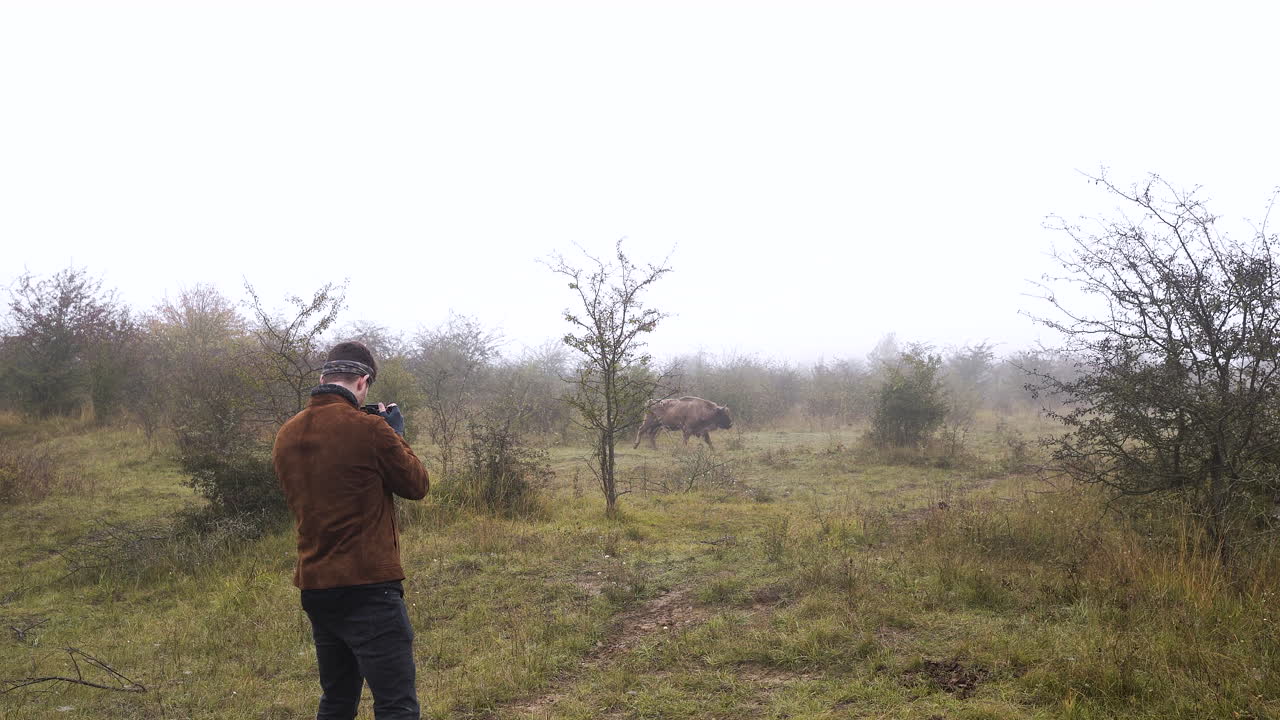 Fotografo che scatta foto a un bisonte maschio che cammina in una steppa nebbiosa.