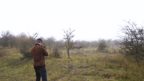 Photographer-taking-photos-of-a-walking-bison-bull-in-a-misty-steppe