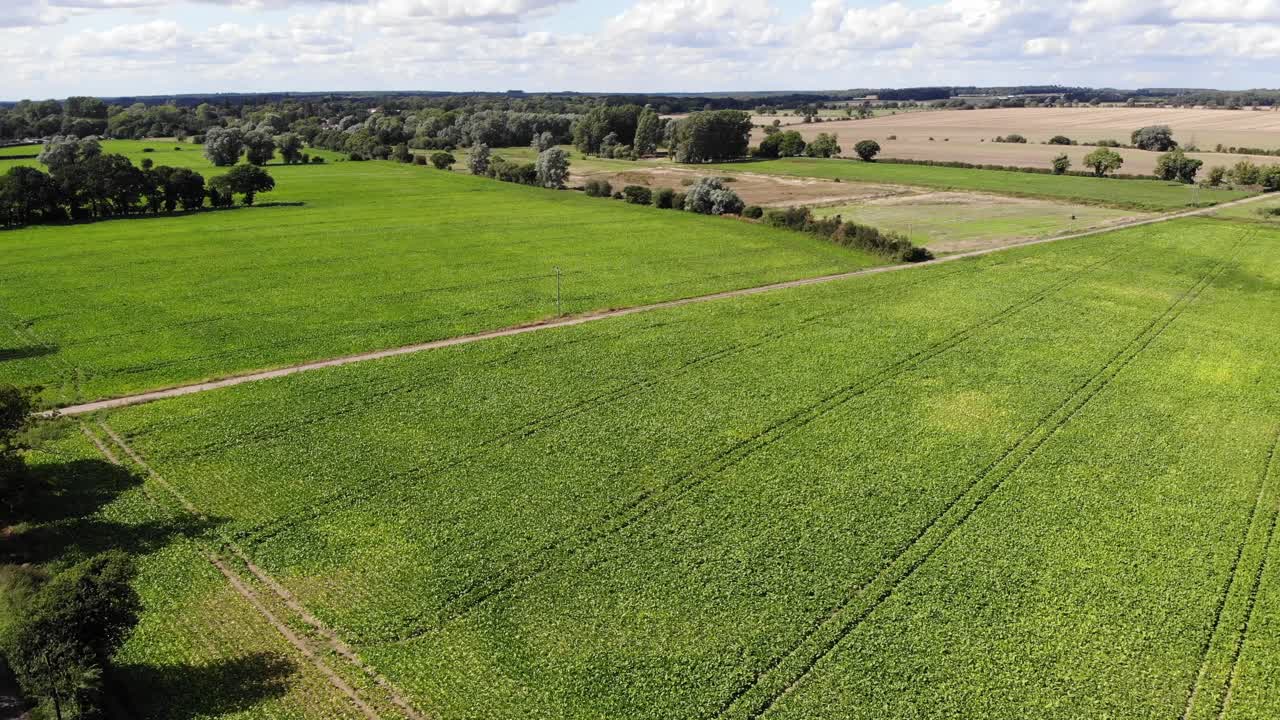 imágenes de drones de campos agrícolas en suffolk, reino unido
